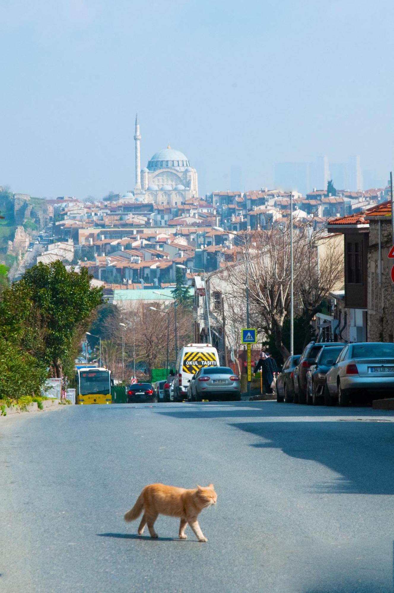 Efes Otel İstanbul